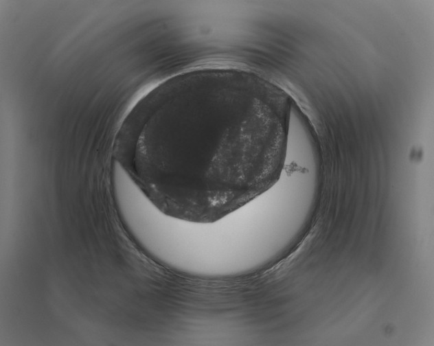 X0000094441465200712061126