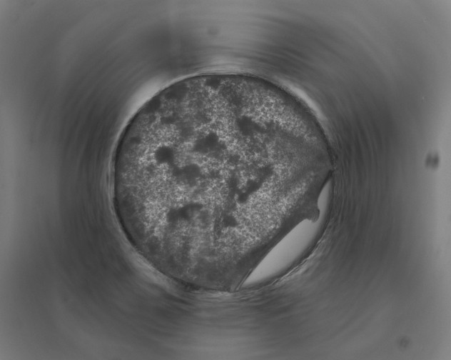 X0000094441467200712061126