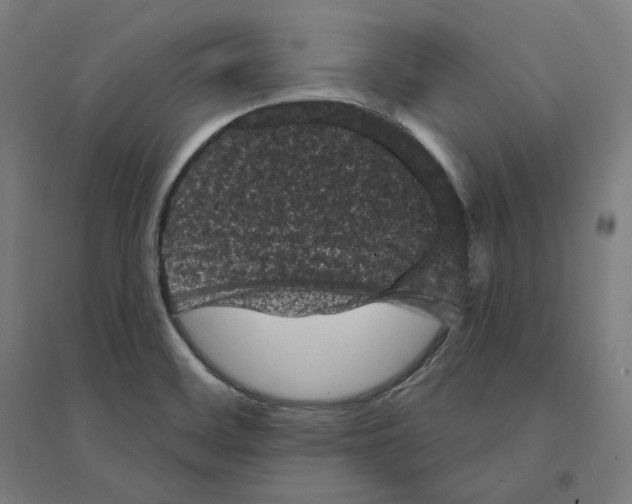 X0000094441468200712061126