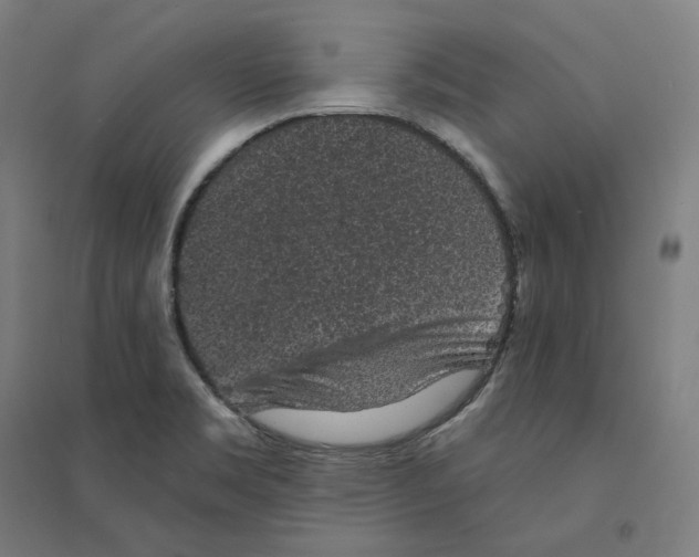 X0000094441469200712061126