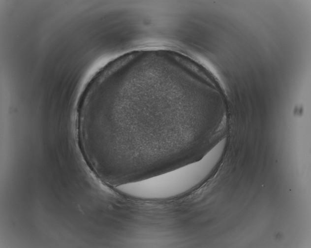 X0000094441472200712061126