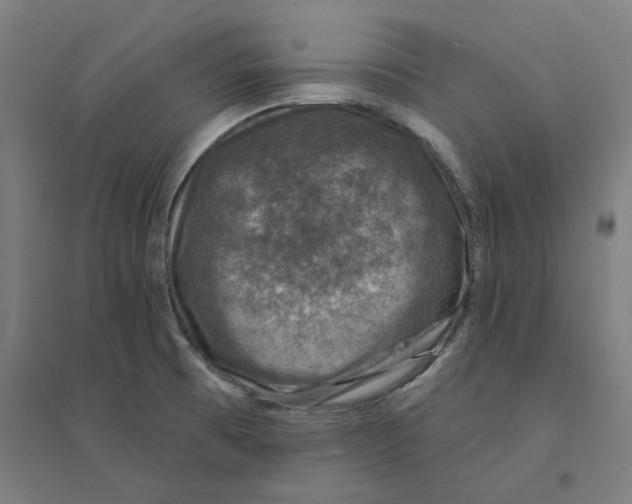 X0000094441473200712061126