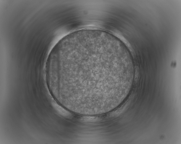 X0000094441474200712061126