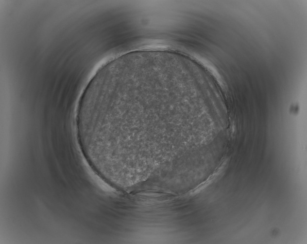 X0000094441475200712061126