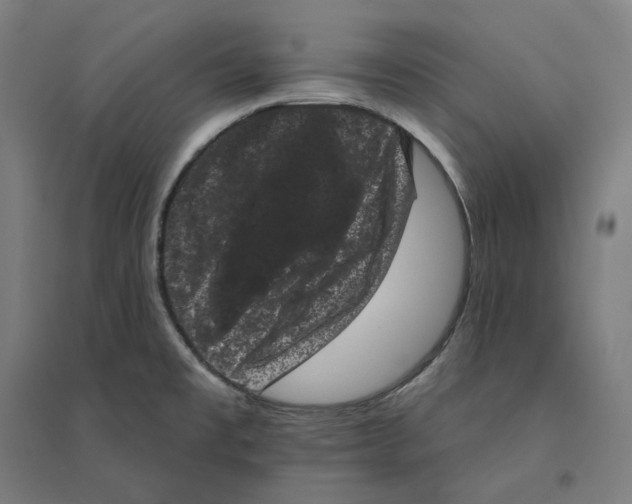 X0000094441477200712061125