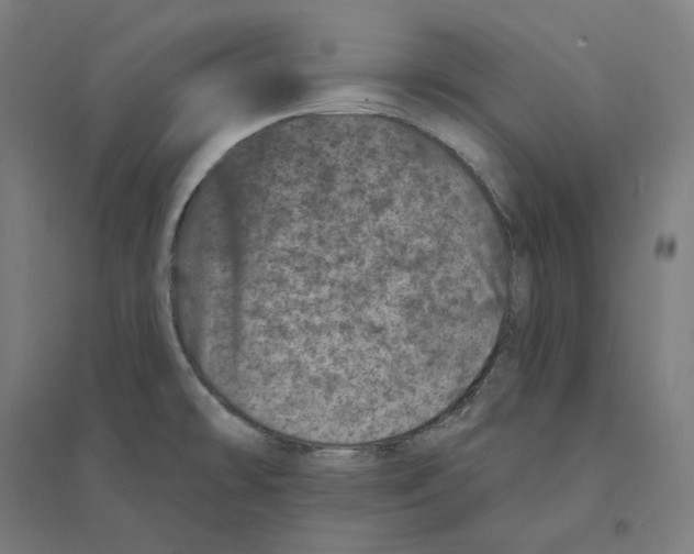 X0000094441478200712061125