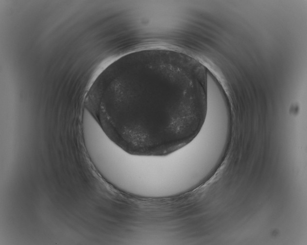 X0000094441481200712061125