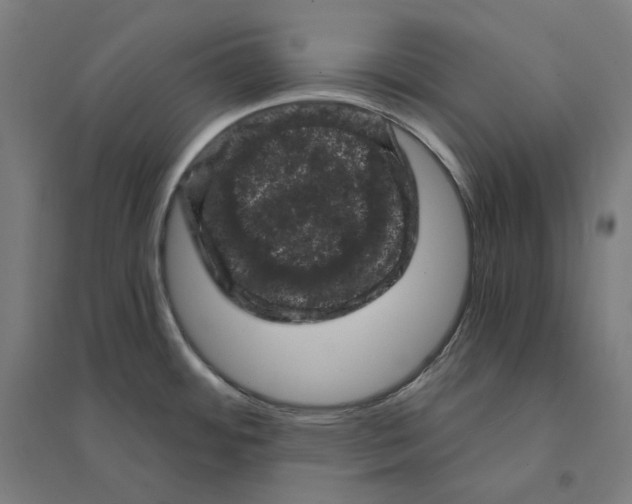 X0000094441484200712061125