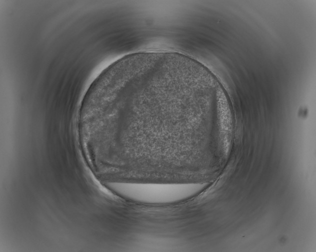 X0000094441486200712061125