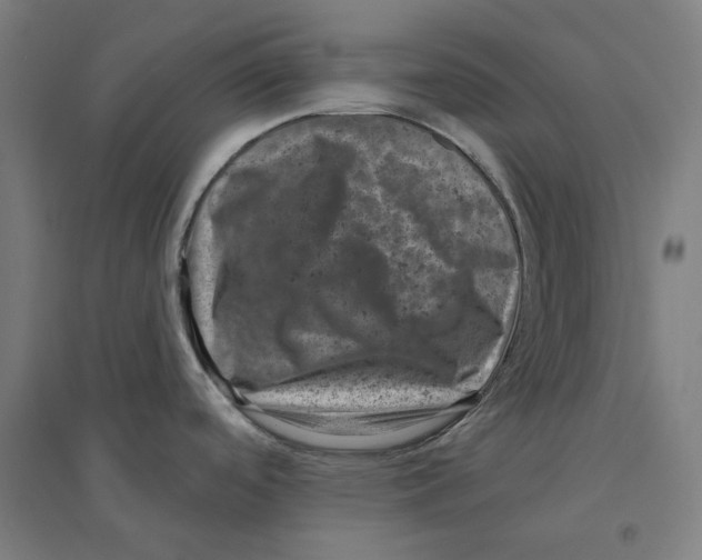 X0000094441488200712061125