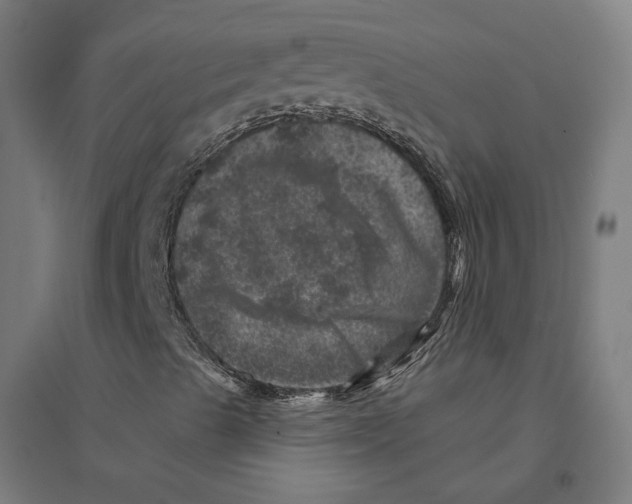 X0000094441489200712061124