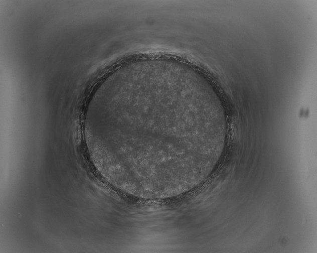 X0000094441493200712061124