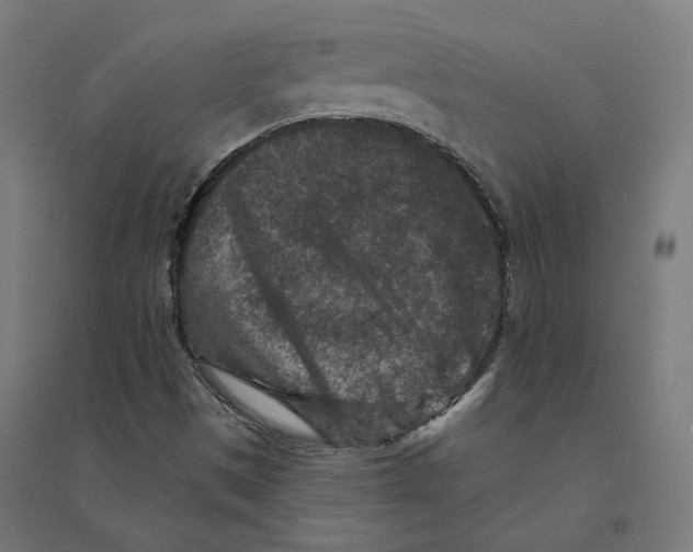 X0000094441497200712061124