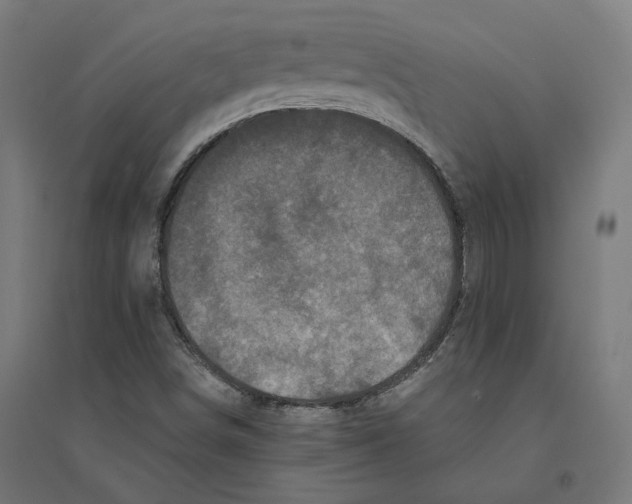 X0000094441498200712061124