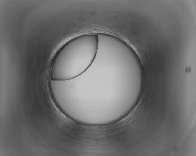 X0000094441500200712061124