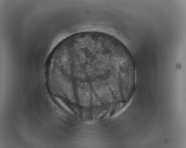 X0000094441501200712061124