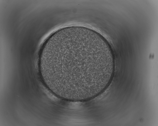 X0000094441502200712061125