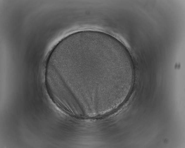 X0000094441504200712061125