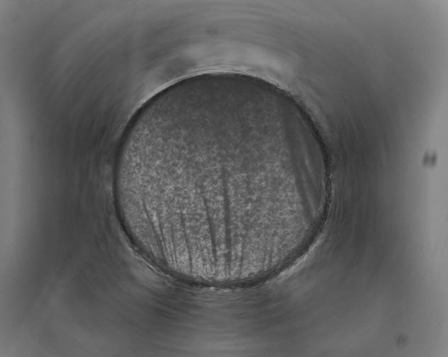 X0000094441505200712061125