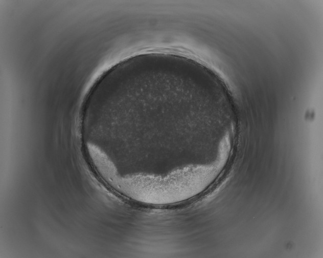 X0000094441506200712061125