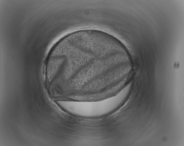 X0000094441510200712061125