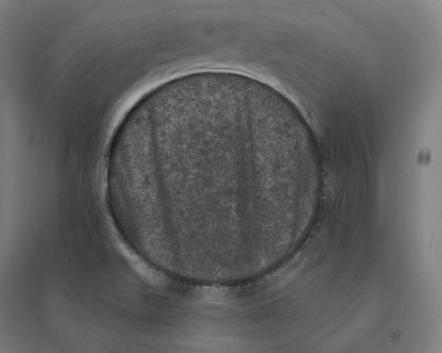 X0000094441511200712061125