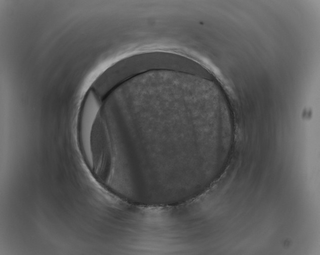 X0000094441512200712061125