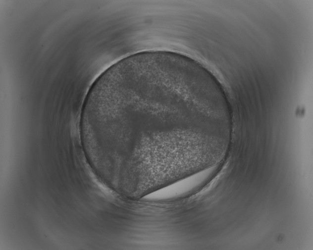 X0000094441513200712061125