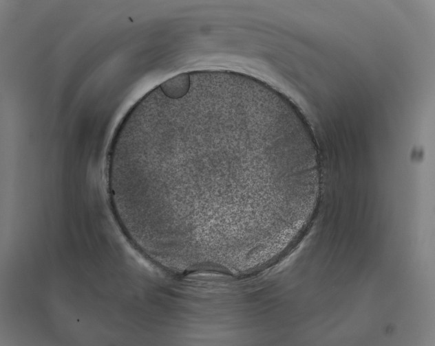 X0000094441517200712061125