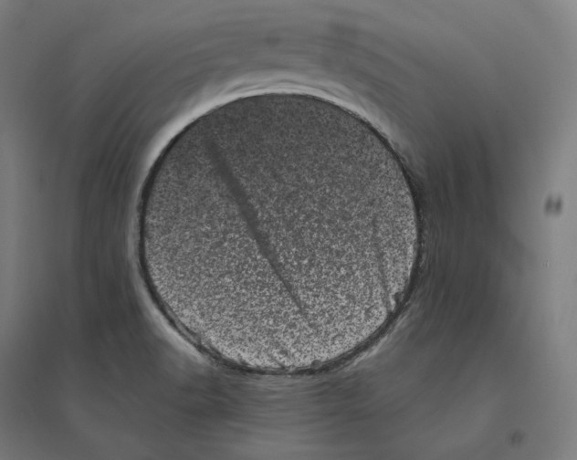 X0000094441518200712061125