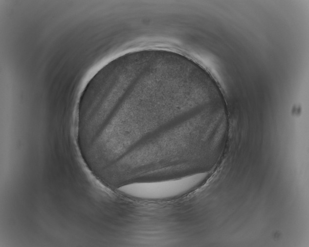 X0000094441520200712061125