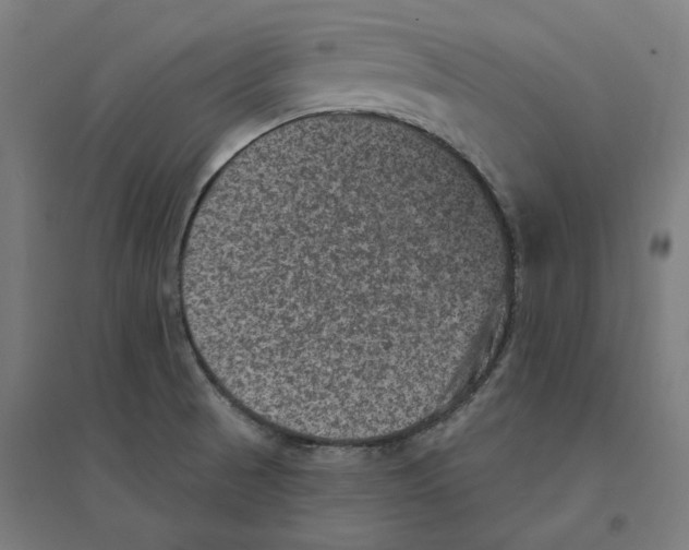 X0000094441521200712061125