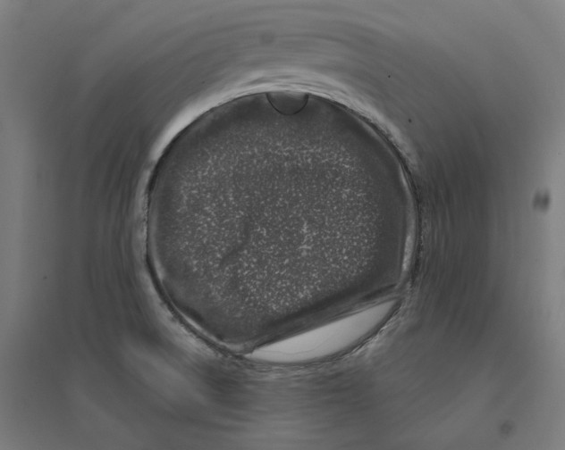 X0000094441522200712061125