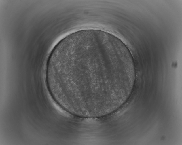 X0000094441523200712061125