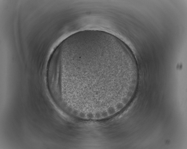 X0000094441525200712061125