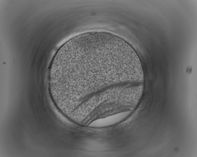 X0000094441526200712061125