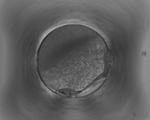 X0000094441527200712061125