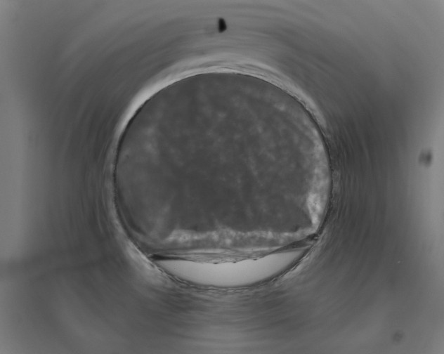 X0000094441530200712061125