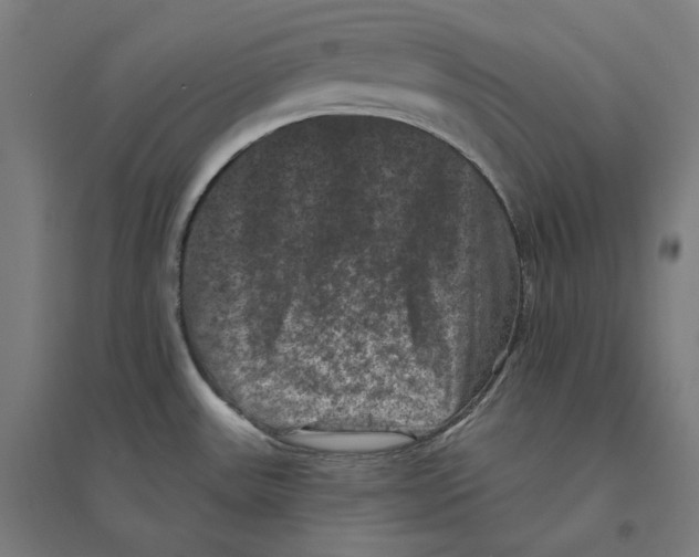 X0000094441531200712061125