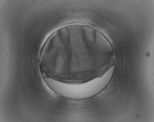 X0000094441532200712061125