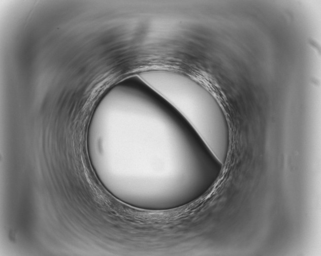 X0000094450001200711081058