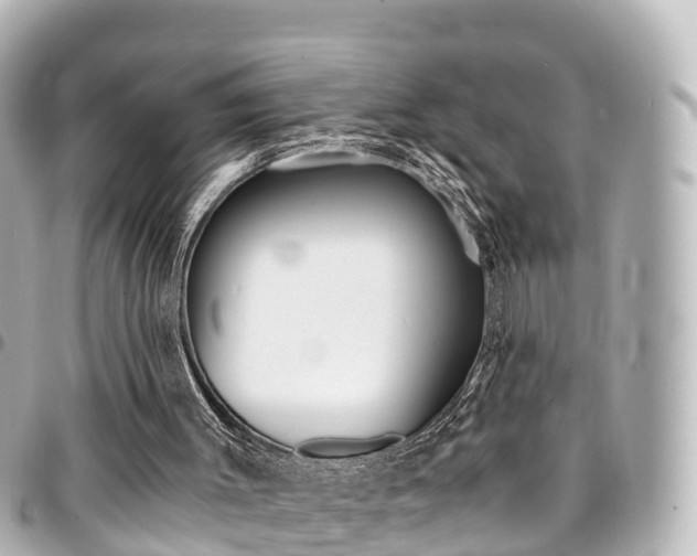 X0000094450003200711081058