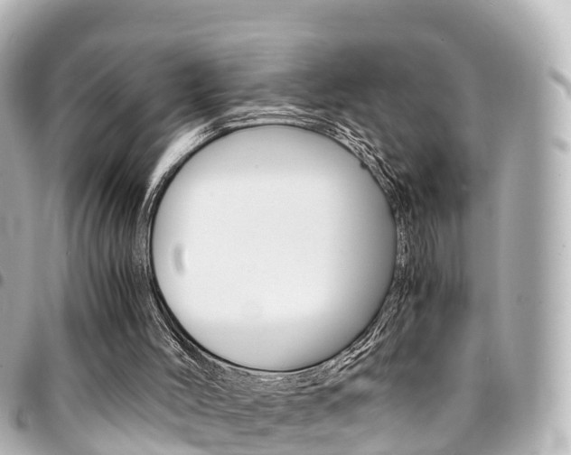 X0000094450004200711081058