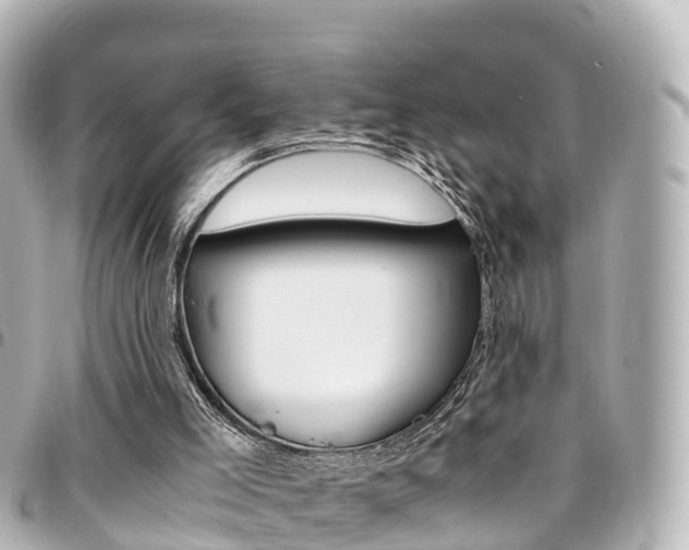 X0000094450005200711081058