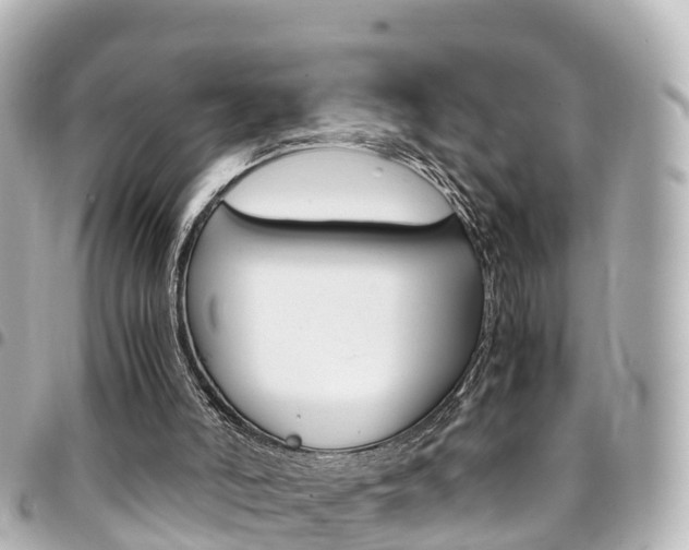 X0000094450006200711081058