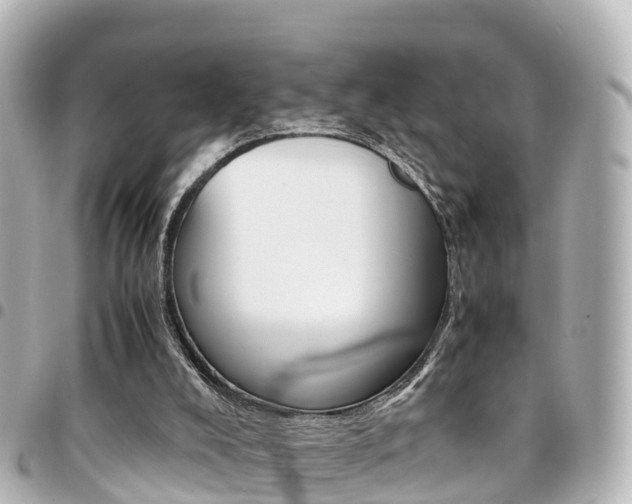 X0000094450008200711081058