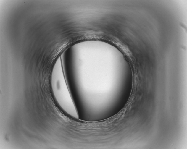 X0000094450009200711081058
