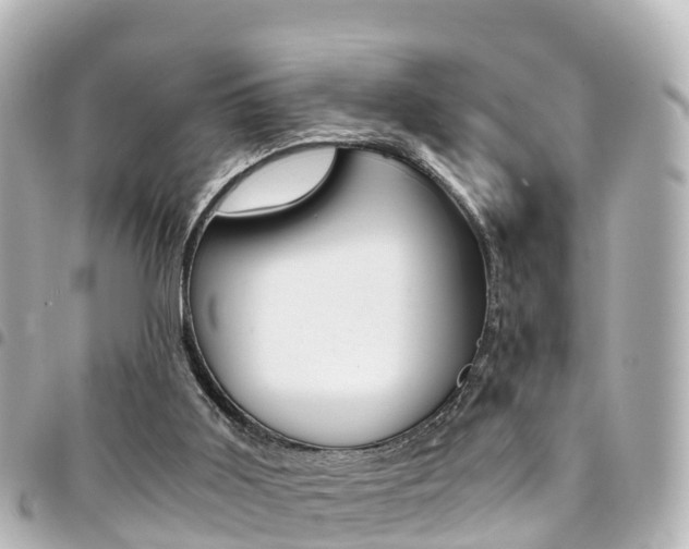 X0000094450011200711081058