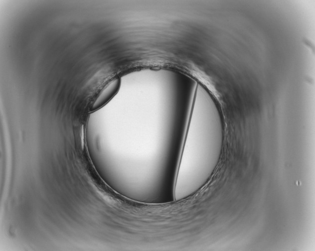 X0000094450013200711081057