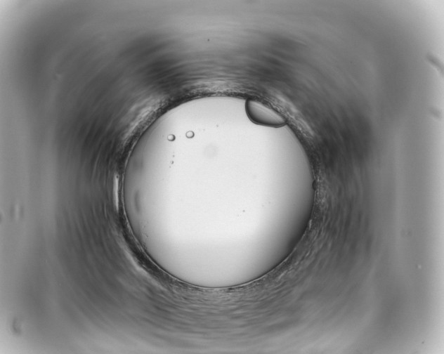 X0000094450014200711081057